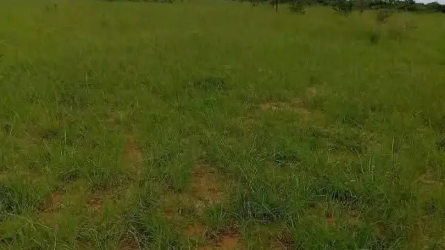 Commercial Stand for Sale inKadoma