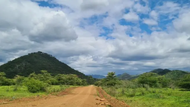 Residential Stand for Sale