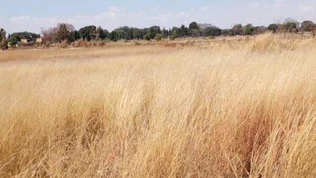 Stand for Sale in Mvuma