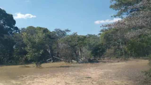 Farm/Plot for Sale inMvuma