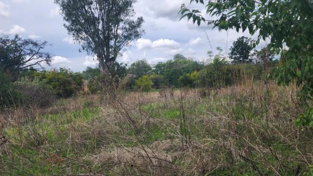 Stand for Sale in Helensvale