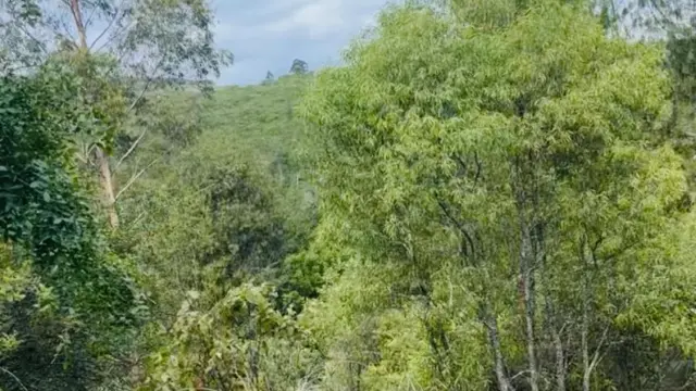 Residential Stand for Sale