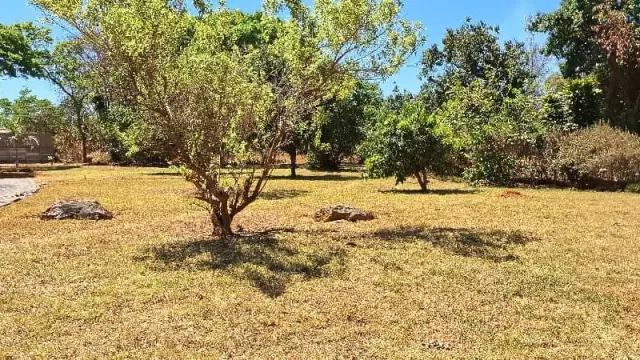 Residential Stand for Sale