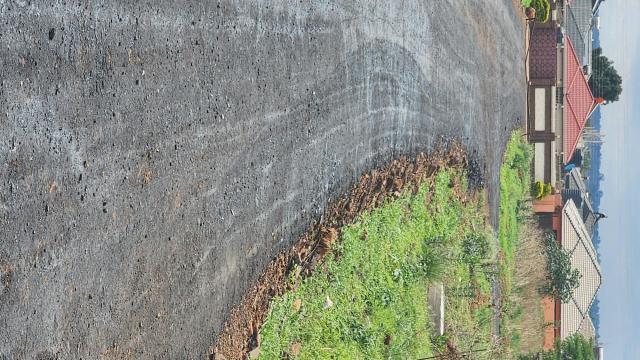 Stand for Sale in Ashdown Park