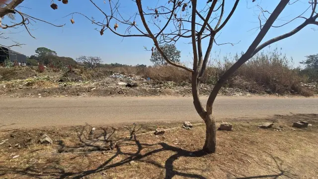 Commercial Stand for Sale