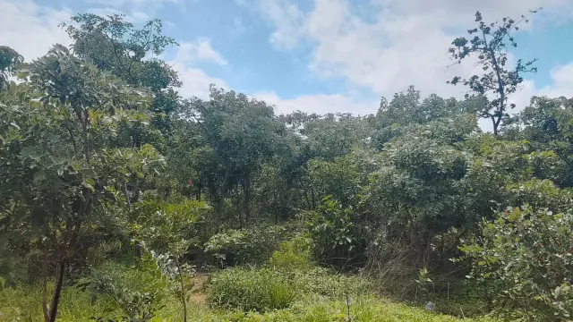 Other Commercial for Sale