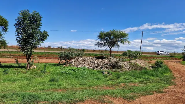 Commercial Stand for Sale