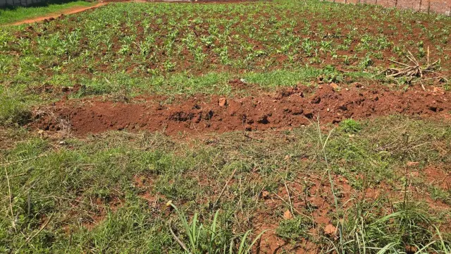 Residential Stand for Sale