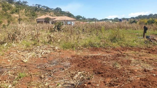 Stand for Sale in Crowhill Views