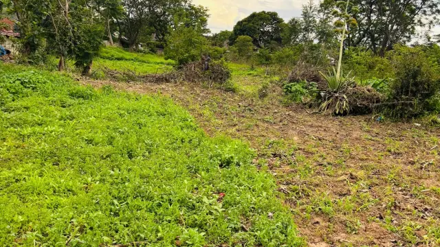 Residential Stand for Sale