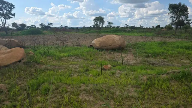 Residential Stand for Sale