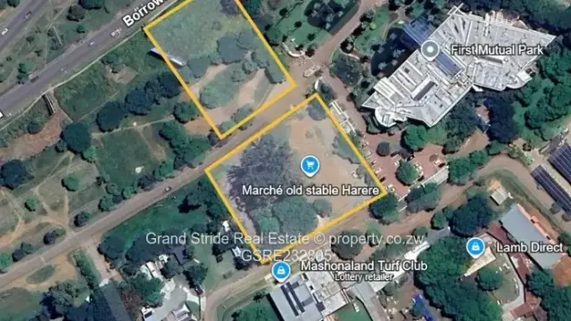 Commercial Stand for Sale