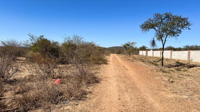 Stand for Sale in Manningdale