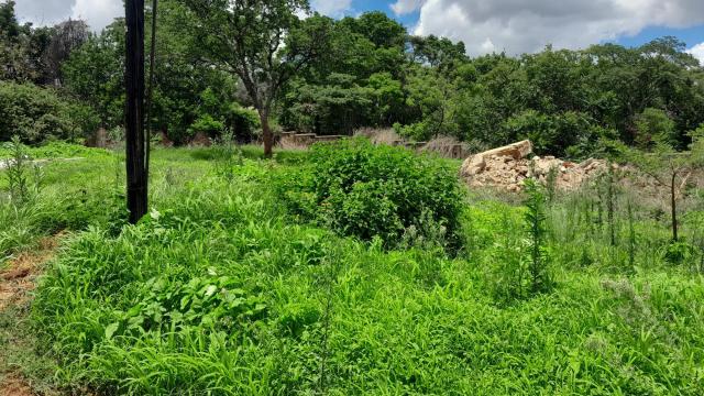 Stand for Sale in Glen Lorne