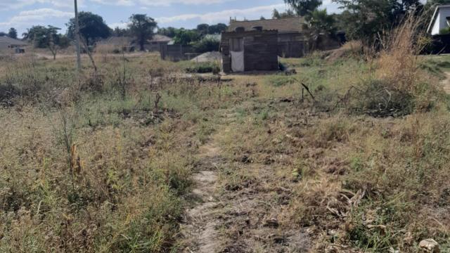 Stand for Sale in Strathaven