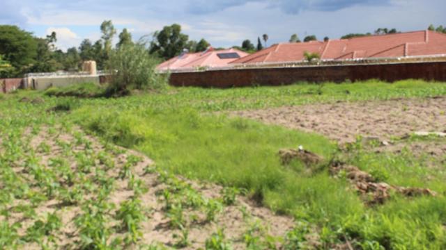 Stand for Sale in Hatfield