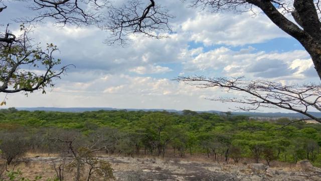 Stand for Sale in Marondera