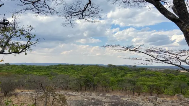 Farm/Plot for Sale inMarondera