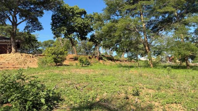 Stand for Sale in Helensvale