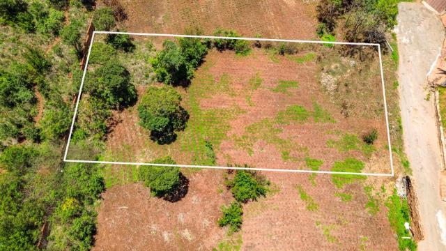 Stand for Sale in Helensvale