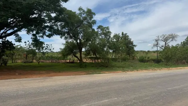 Commercial Stand for Sale