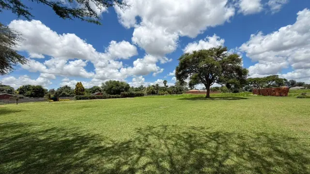 Commercial Stand for Sale