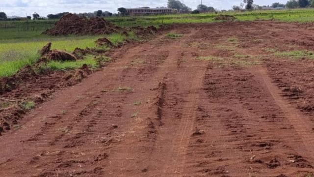 Stand for Sale in Mount Pleasant Heights