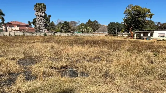 Commercial Stand for Sale