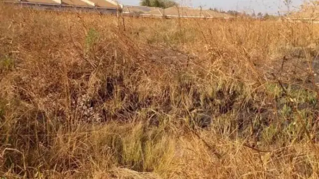 Residential Stand for Sale