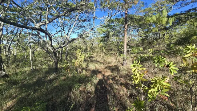 Residential Stand for Sale