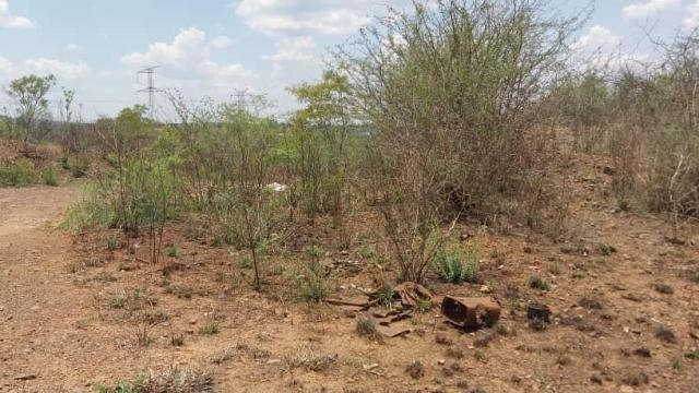 Stand for Sale in Buena Vista