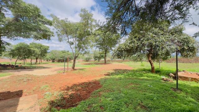 Stand for Sale in Gletwin Park