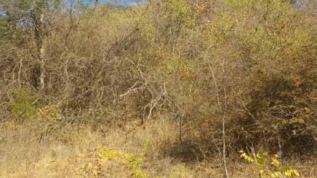 Stand for Sale in Redcliff