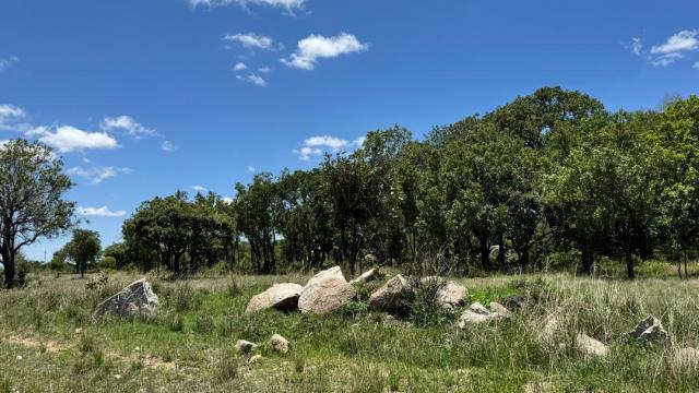 Stand for Sale in Ruwa