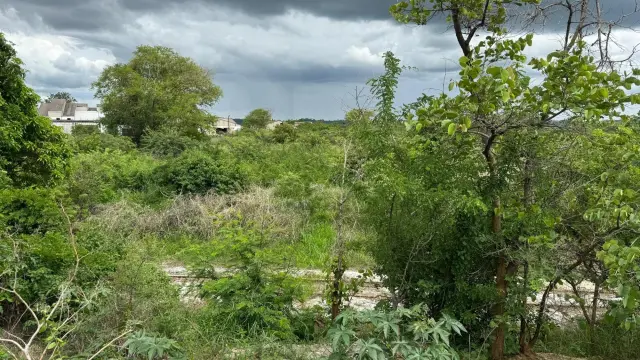 Commercial Stand for Sale