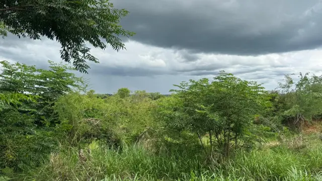 Warehouse/Industrial for Sale