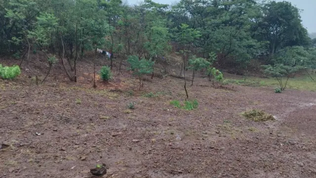 Residential Stand for Sale