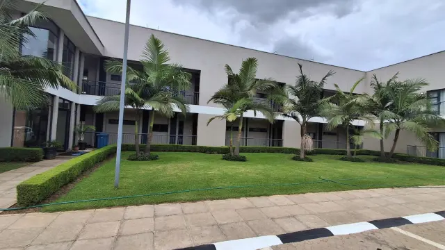 Flat/Apartment to Rent