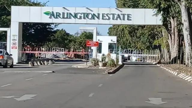 Stand for Sale in Arlington