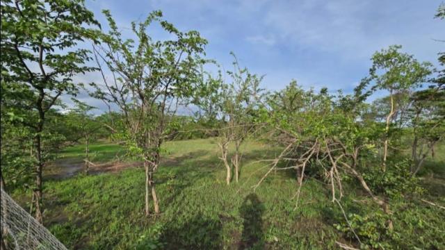 Stand for Sale in Kadoma