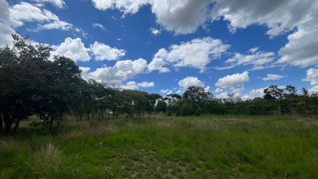 Stand for Sale in Selous