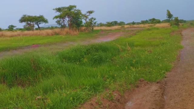 Stand for Sale in Norton