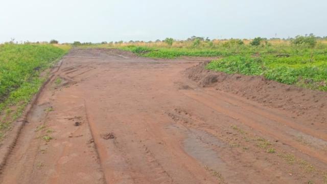 Stand for Sale in Norton