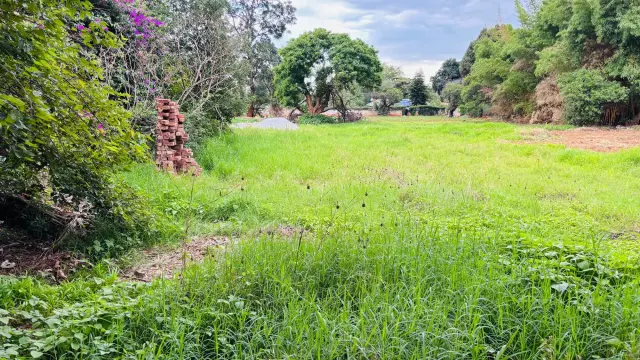 Residential Stand for Sale