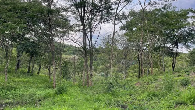 Residential Stand for Sale