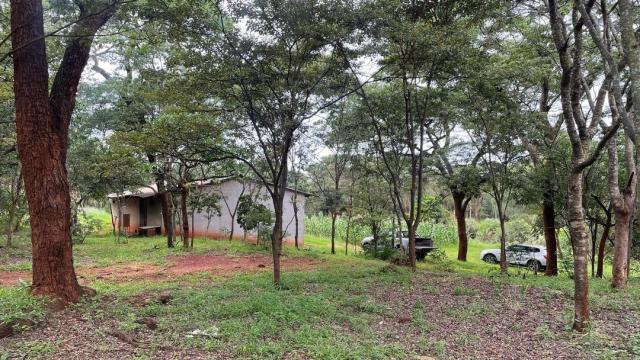 Stand for Sale in Glen Forest