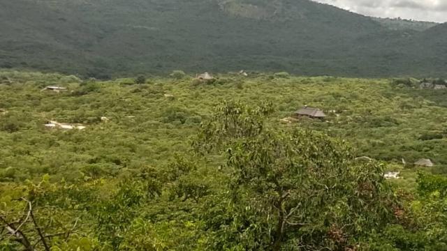 Stand for Sale in Nyanga