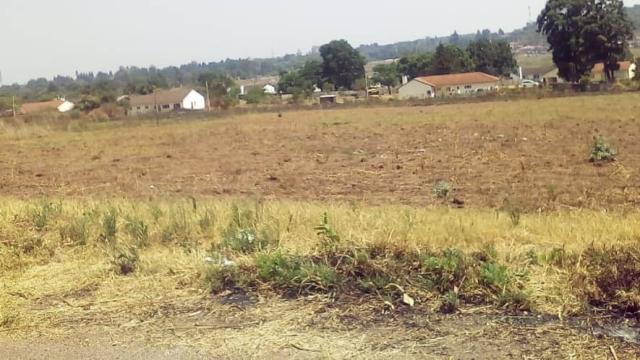 Stand for Sale in The Grange