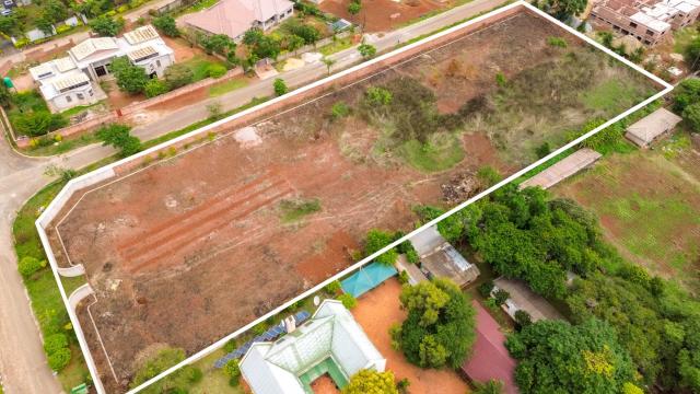 Stand for Sale in Hogerty Hill