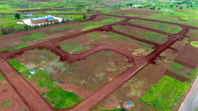 Stand for Sale in Borrowdale